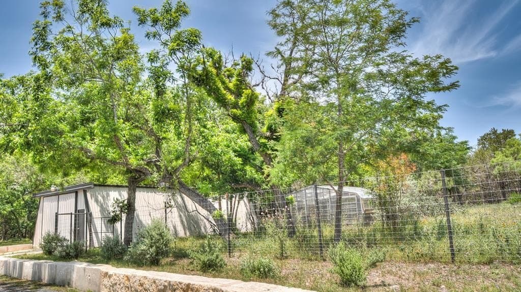 13.85 acres in Real County gallery image 2