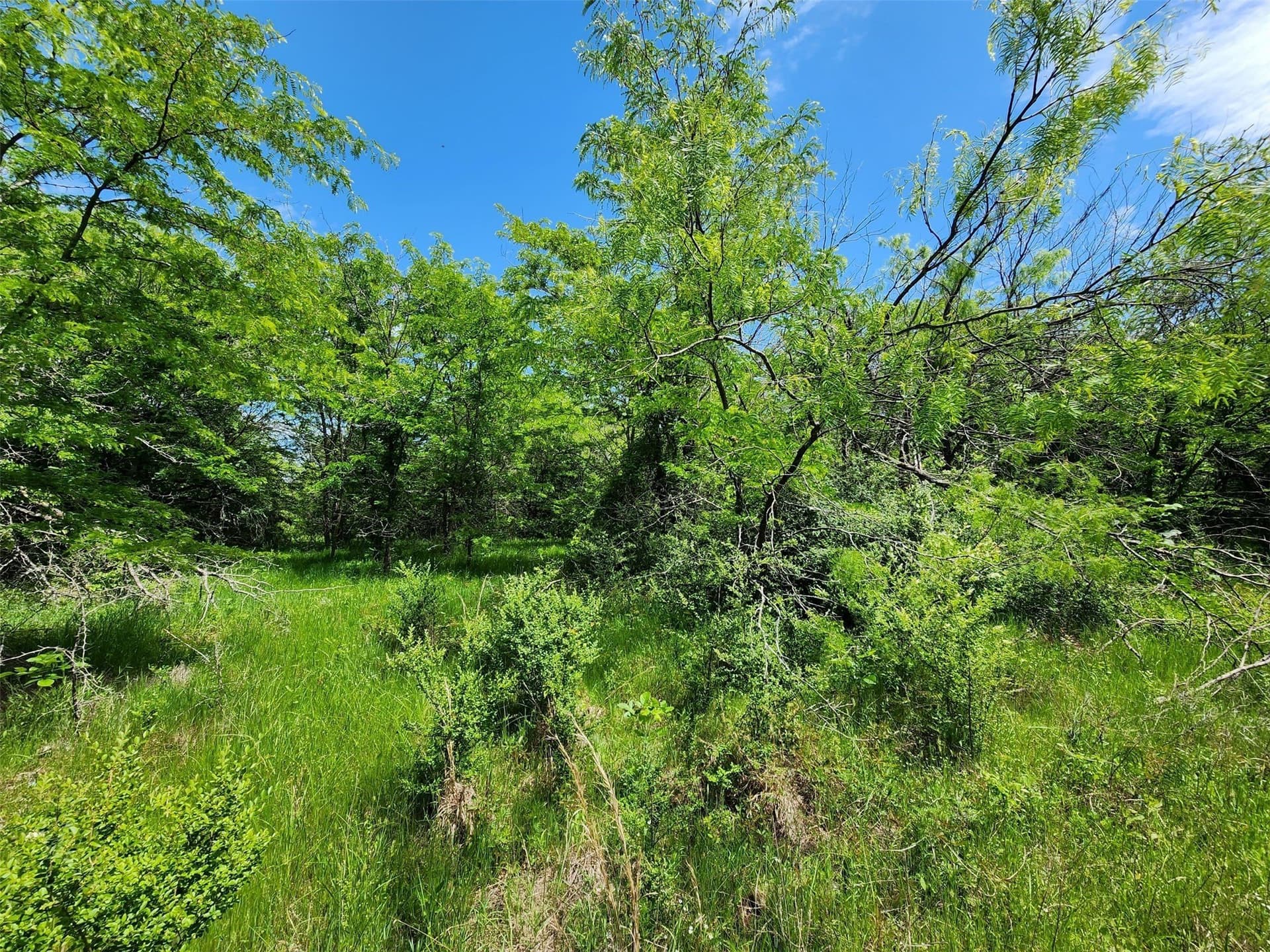 67.74 acres in Hopkins County - photo 4