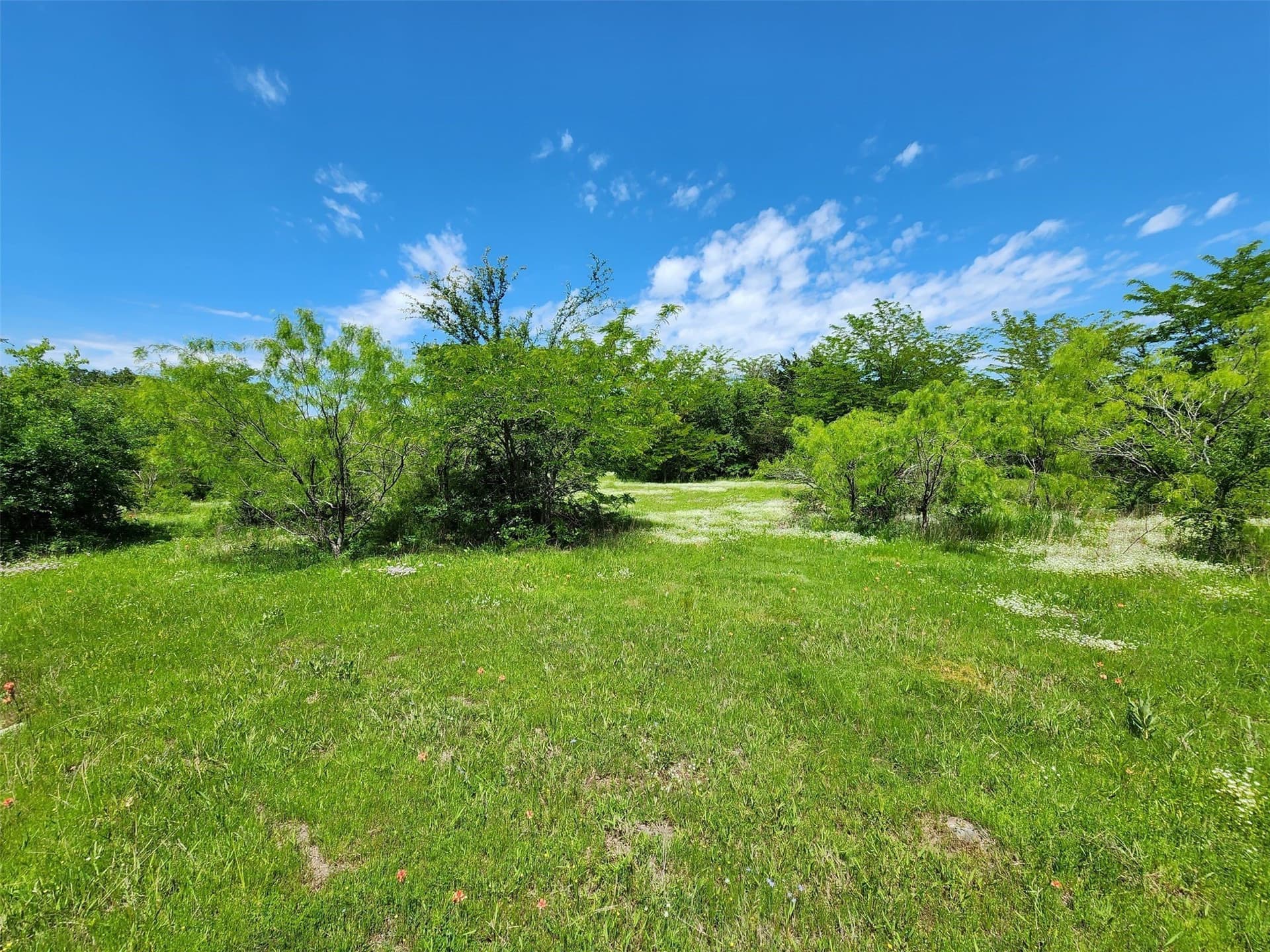 67.74 acres in Hopkins County - photo 10