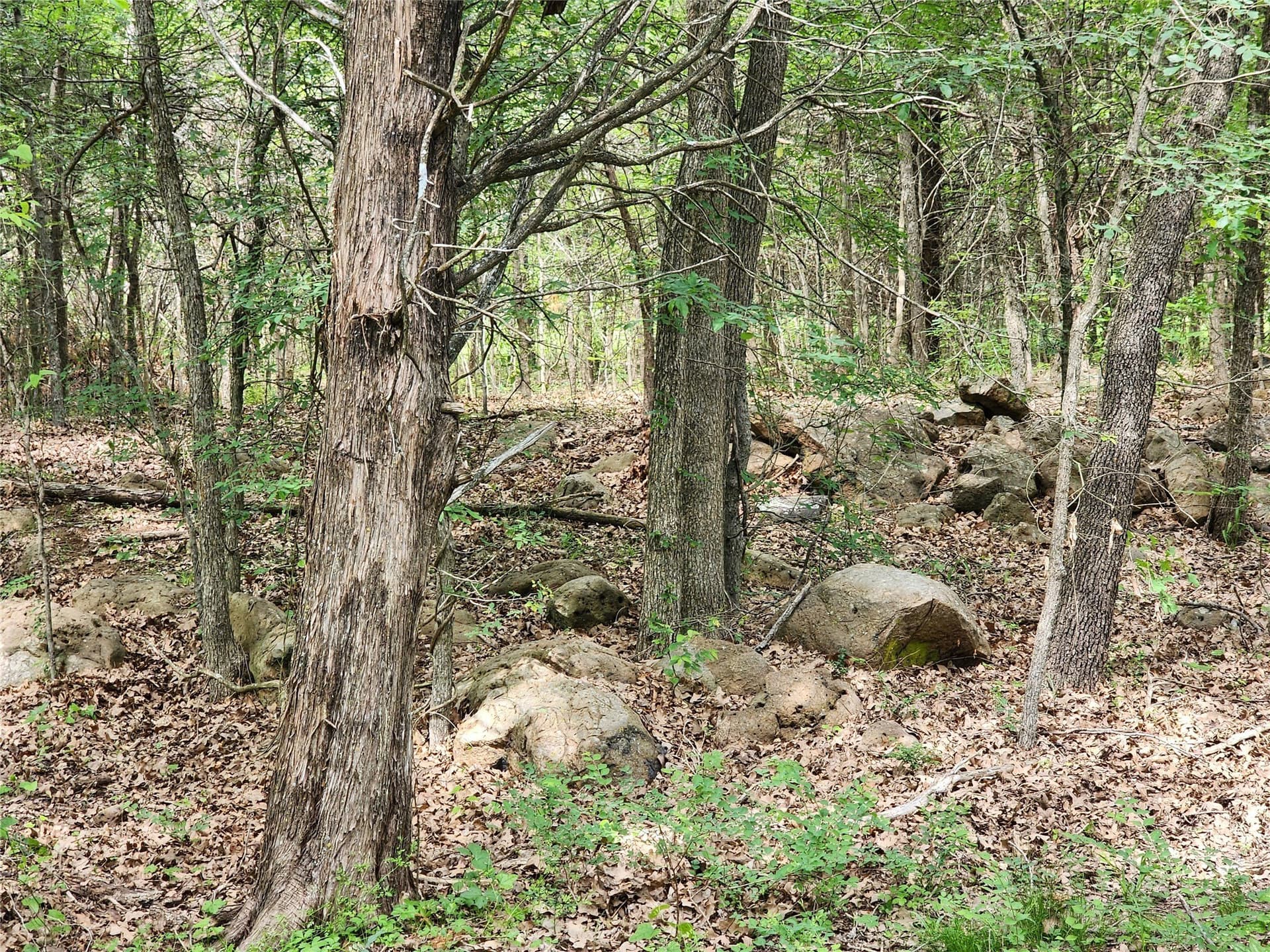 67.74 acres in Hopkins County - photo 27