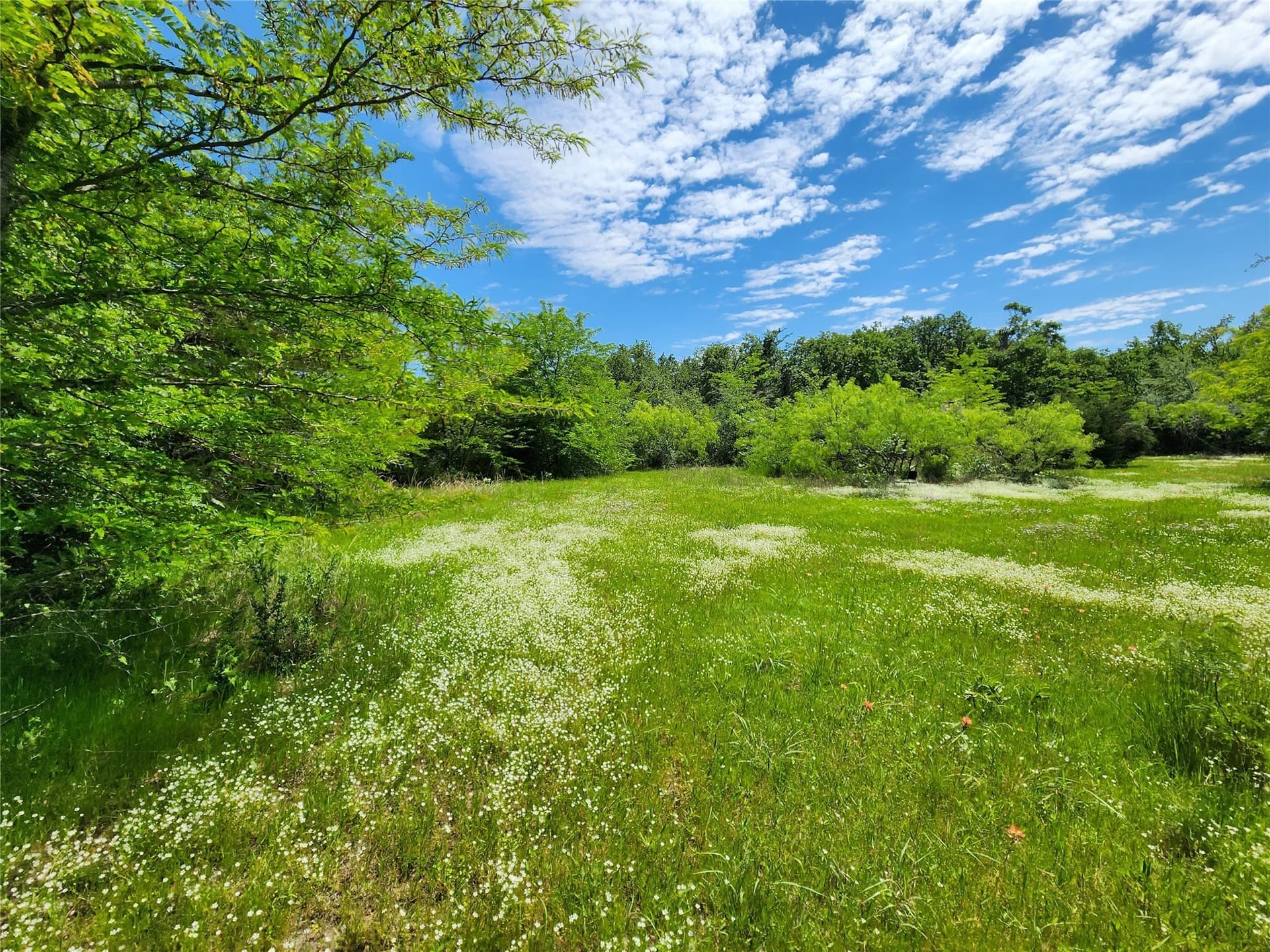 67.74 acres in Hopkins County - photo 5