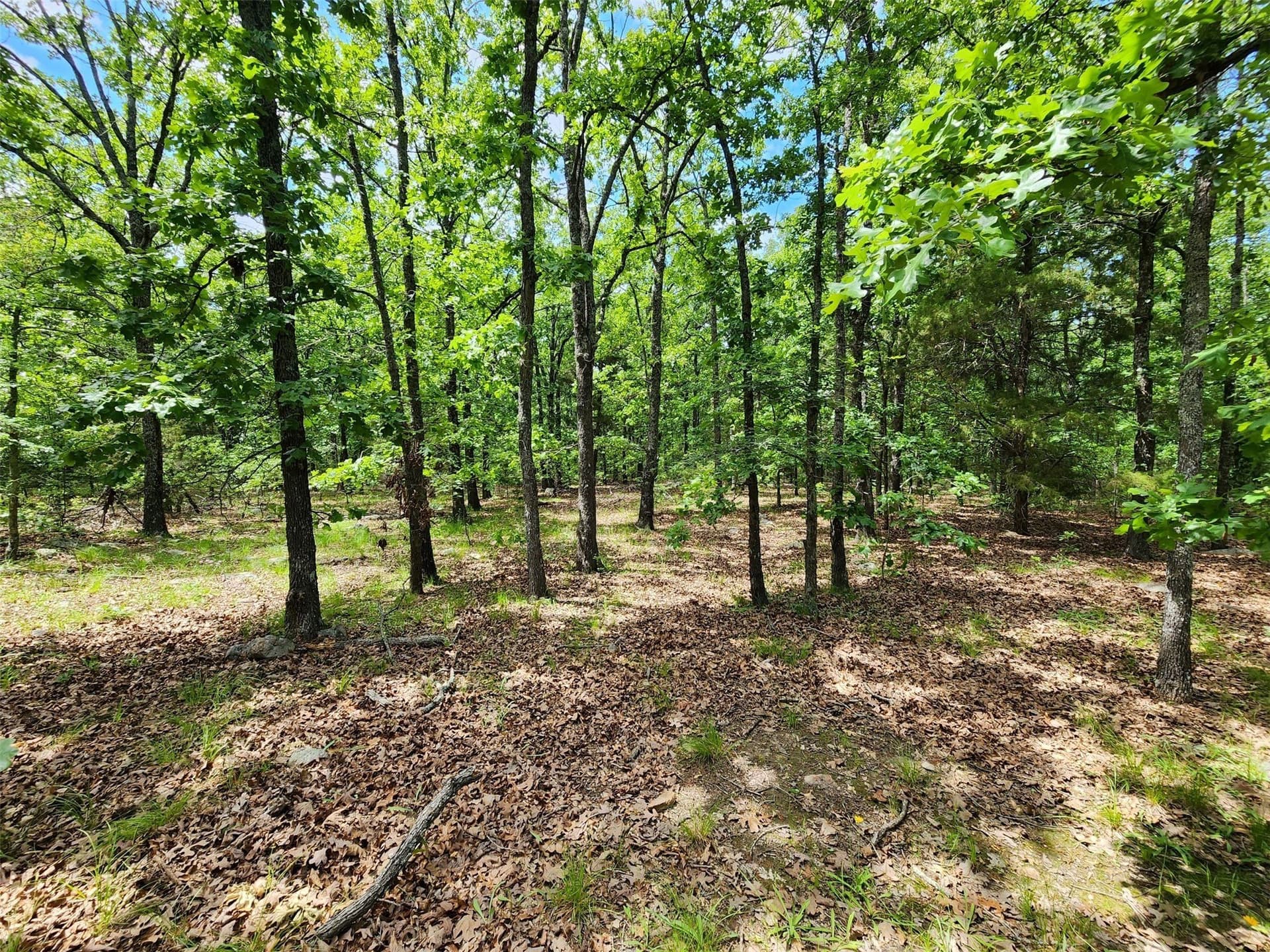 67.74 acres in Hopkins County - photo 16