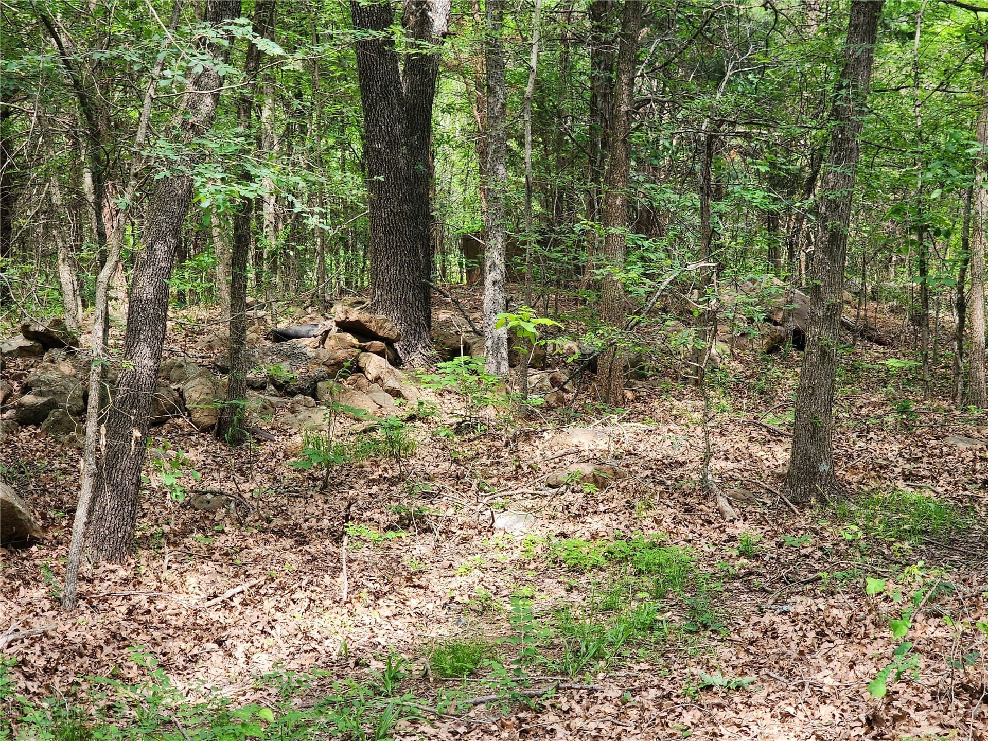 67.74 acres in Hopkins County - photo 26