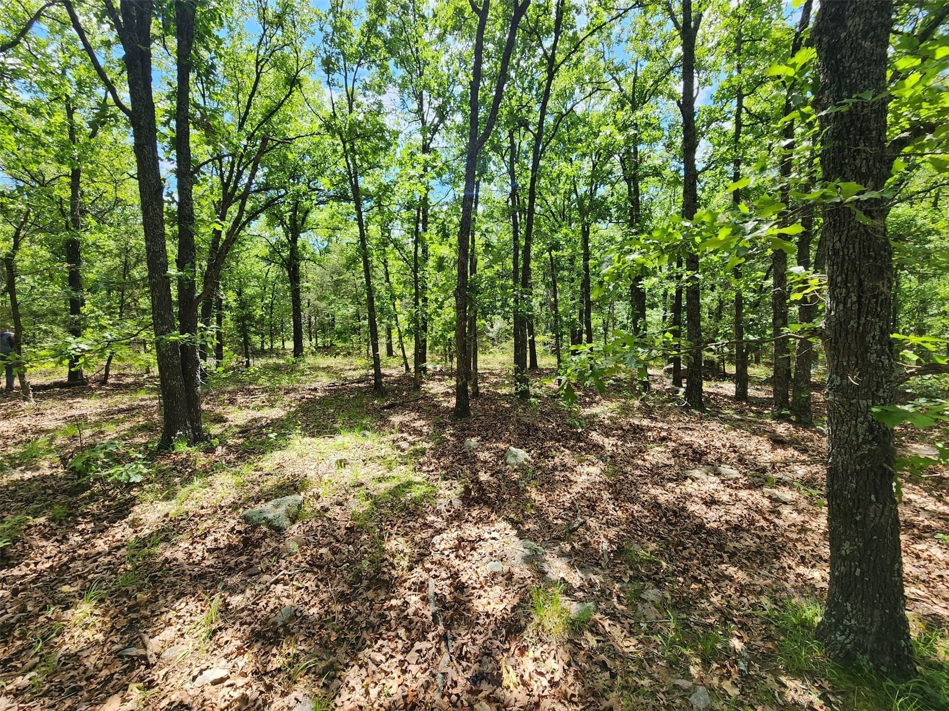 67.74 acres in Hopkins County - photo 19