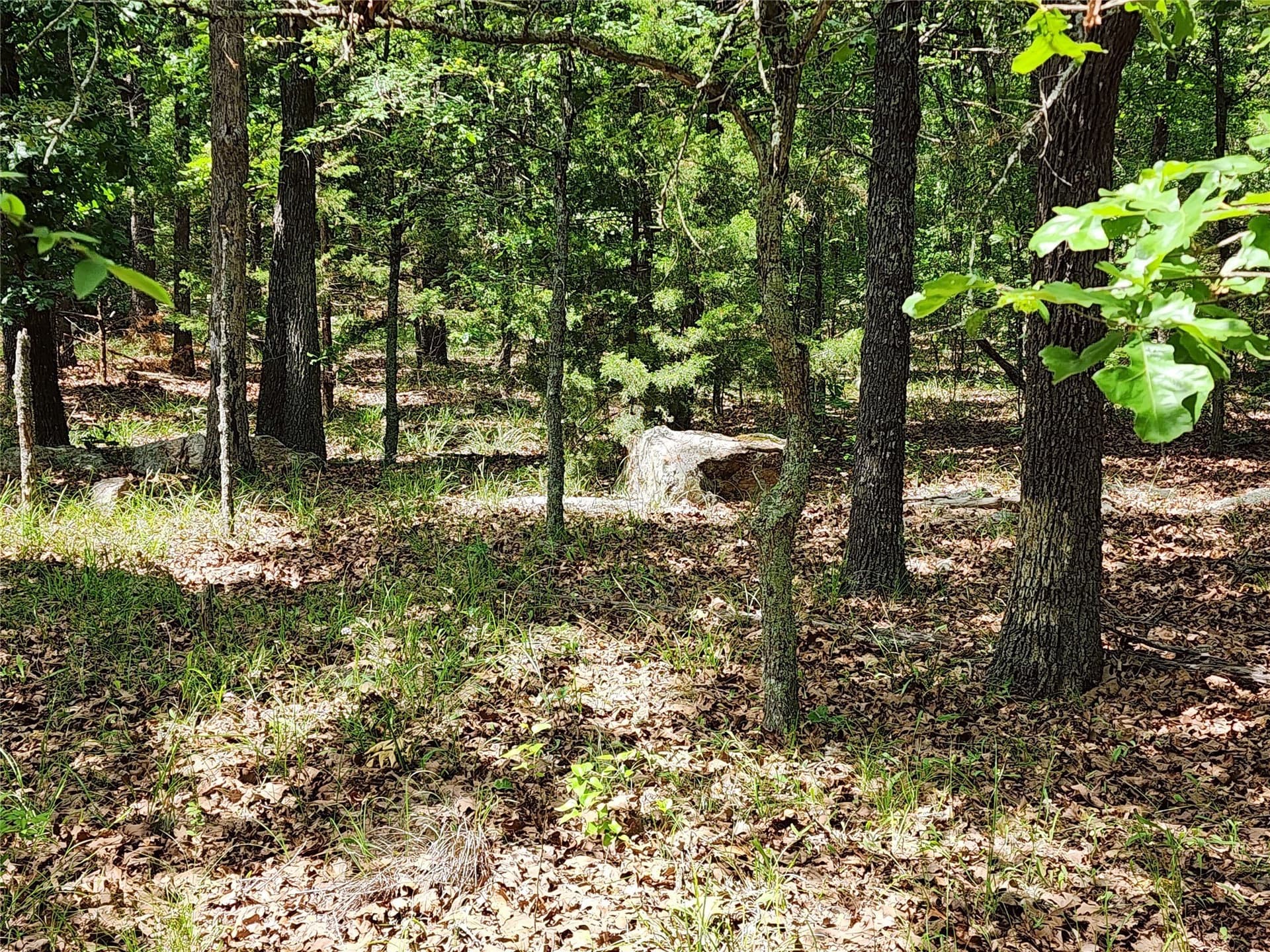 67.74 acres in Hopkins County - photo 20