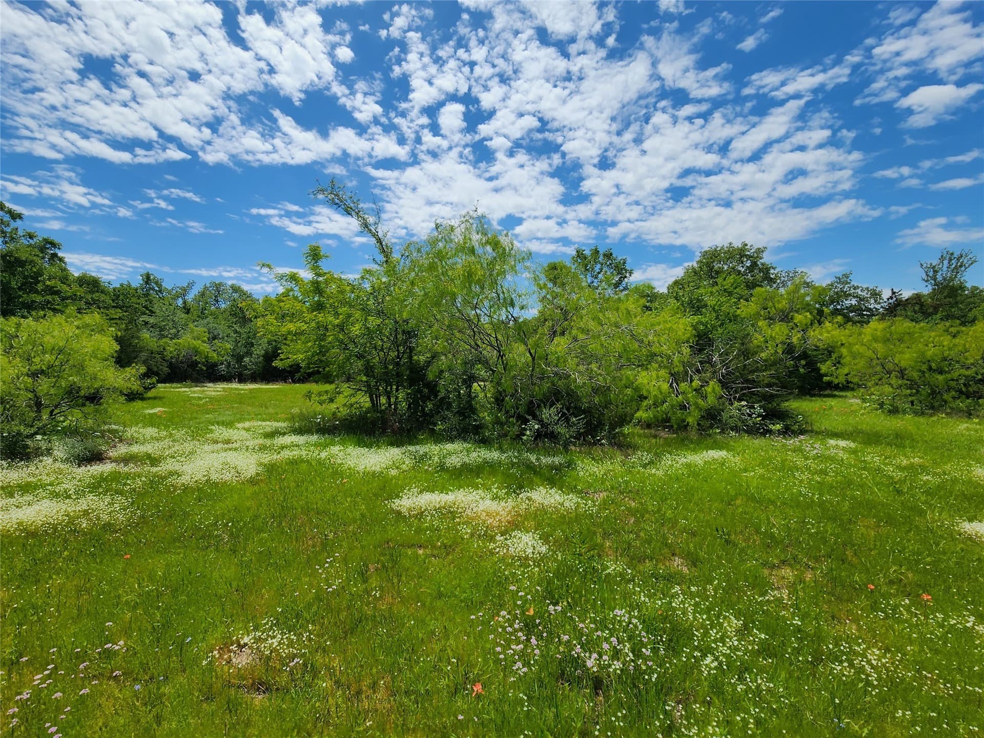 67.74 acres in Hopkins County - photo 7