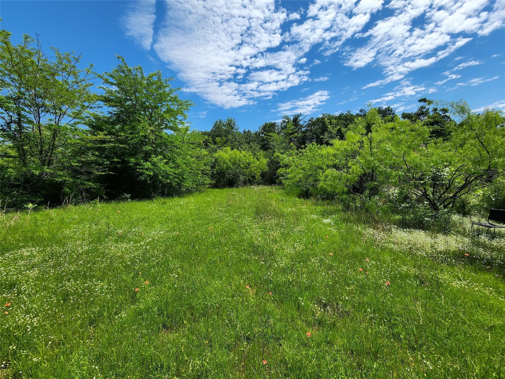 67.74 acres in Hopkins County - photo 8