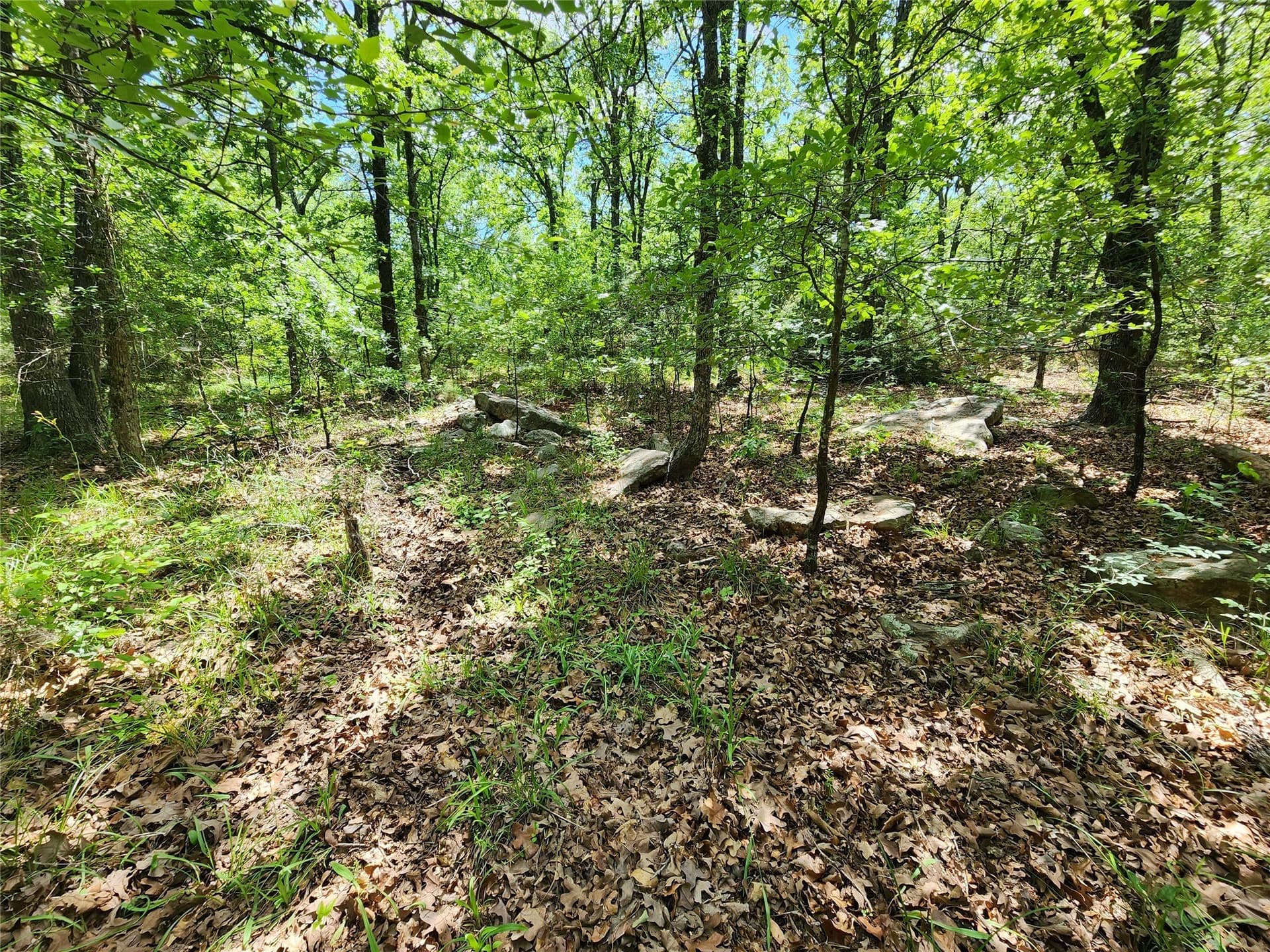 67.74 acres in Hopkins County - photo 23