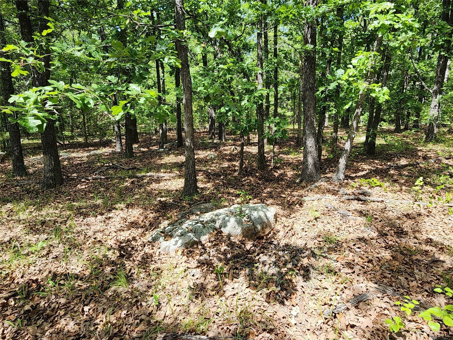 67.74 acres in Hopkins County - photo 21