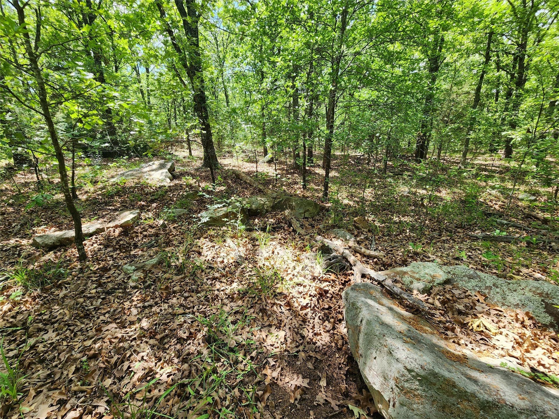 67.74 acres in Hopkins County - photo 24