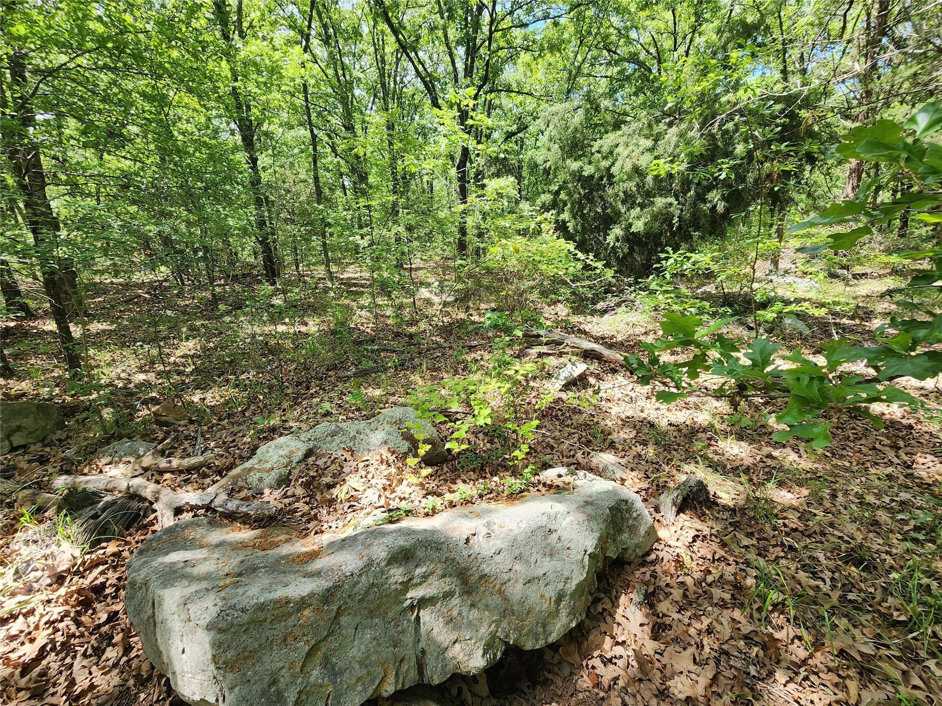 67.74 acres in Hopkins County - photo 25