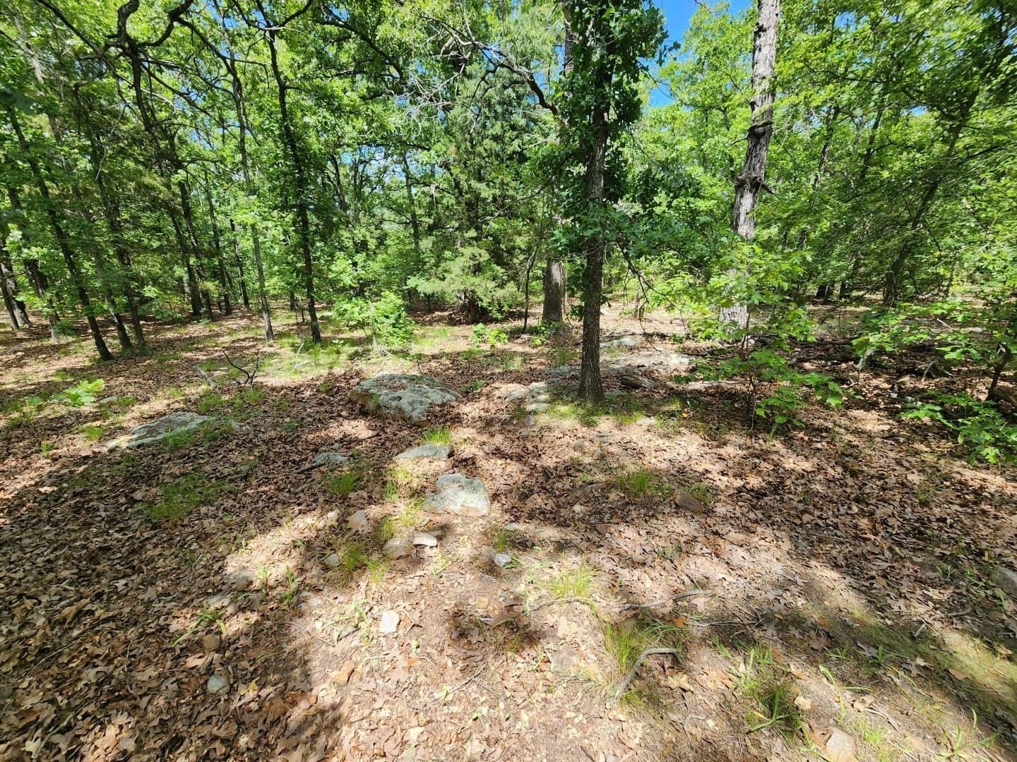 67.74 acres in Hopkins County - photo 18