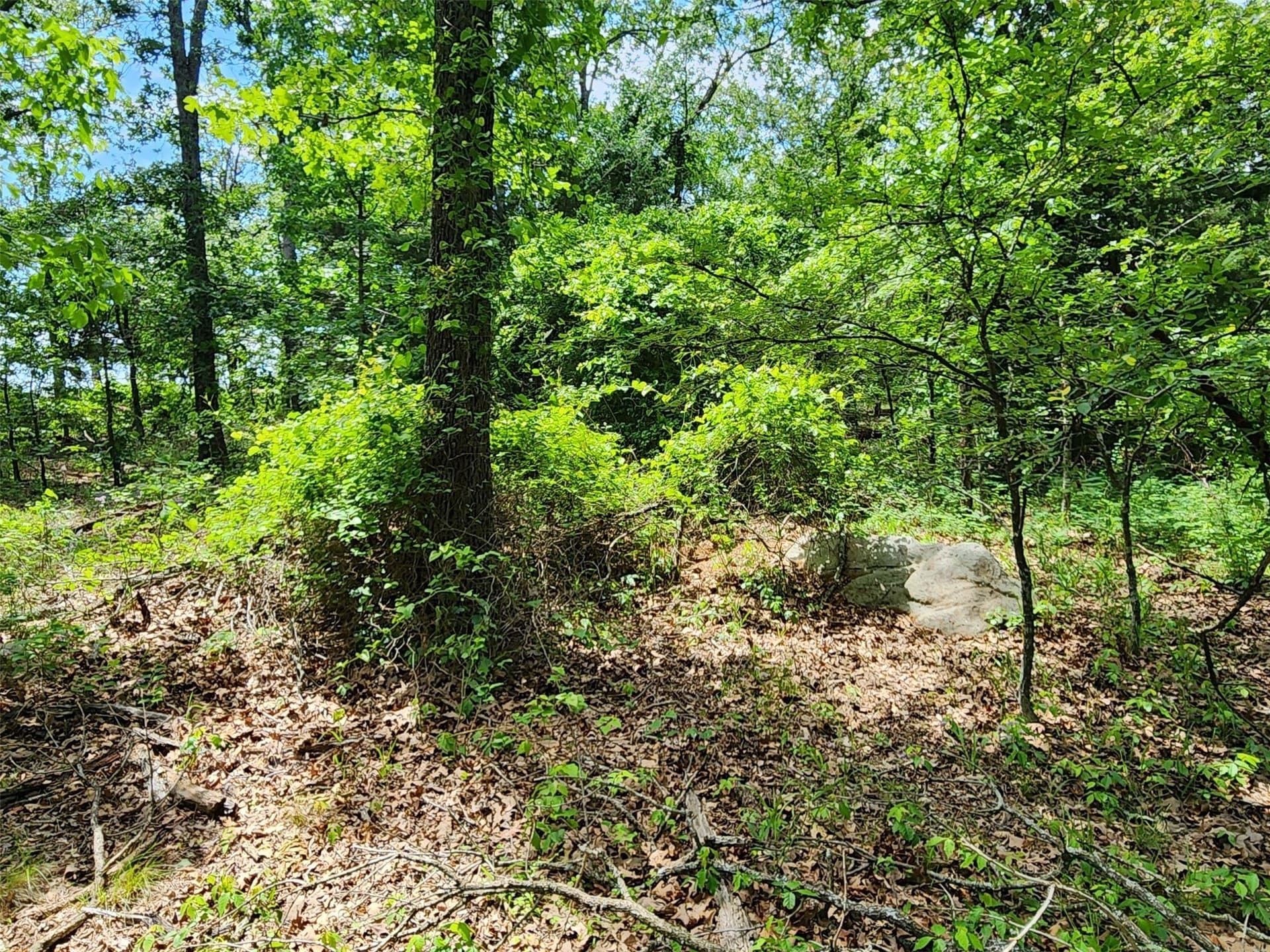 67.74 acres in Hopkins County - photo 22