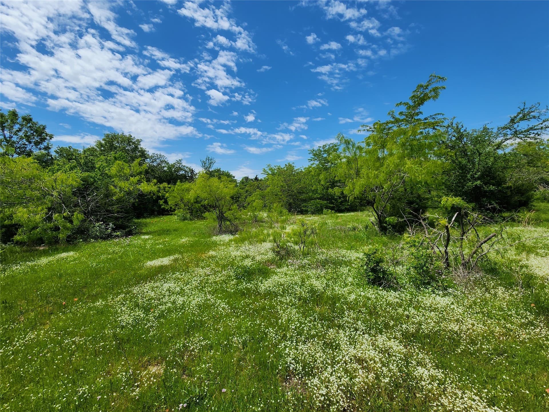 67.74 acres in Hopkins County - photo 6