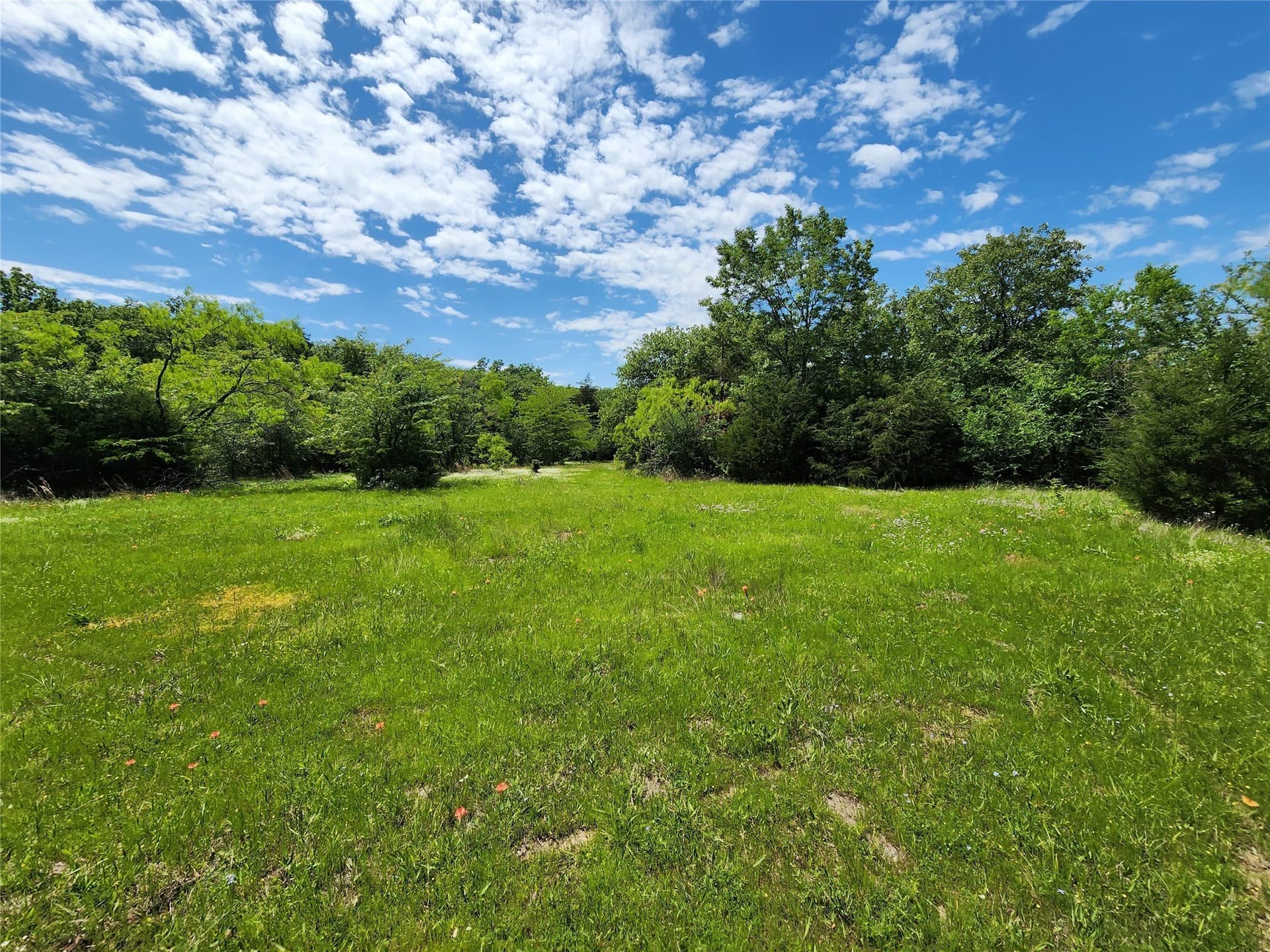 67.74 acres in Hopkins County - photo 9