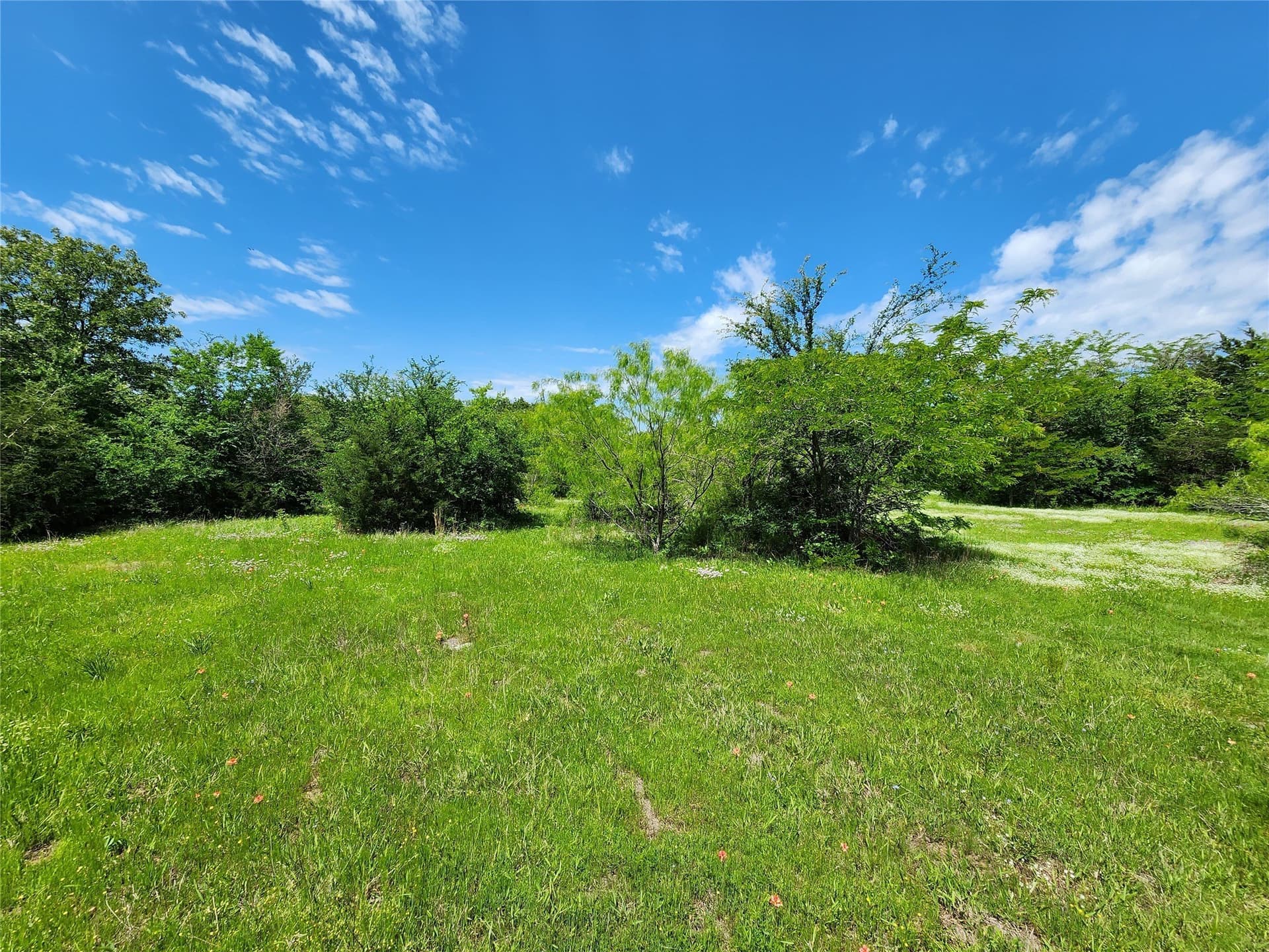 67.74 acres in Hopkins County - photo 11