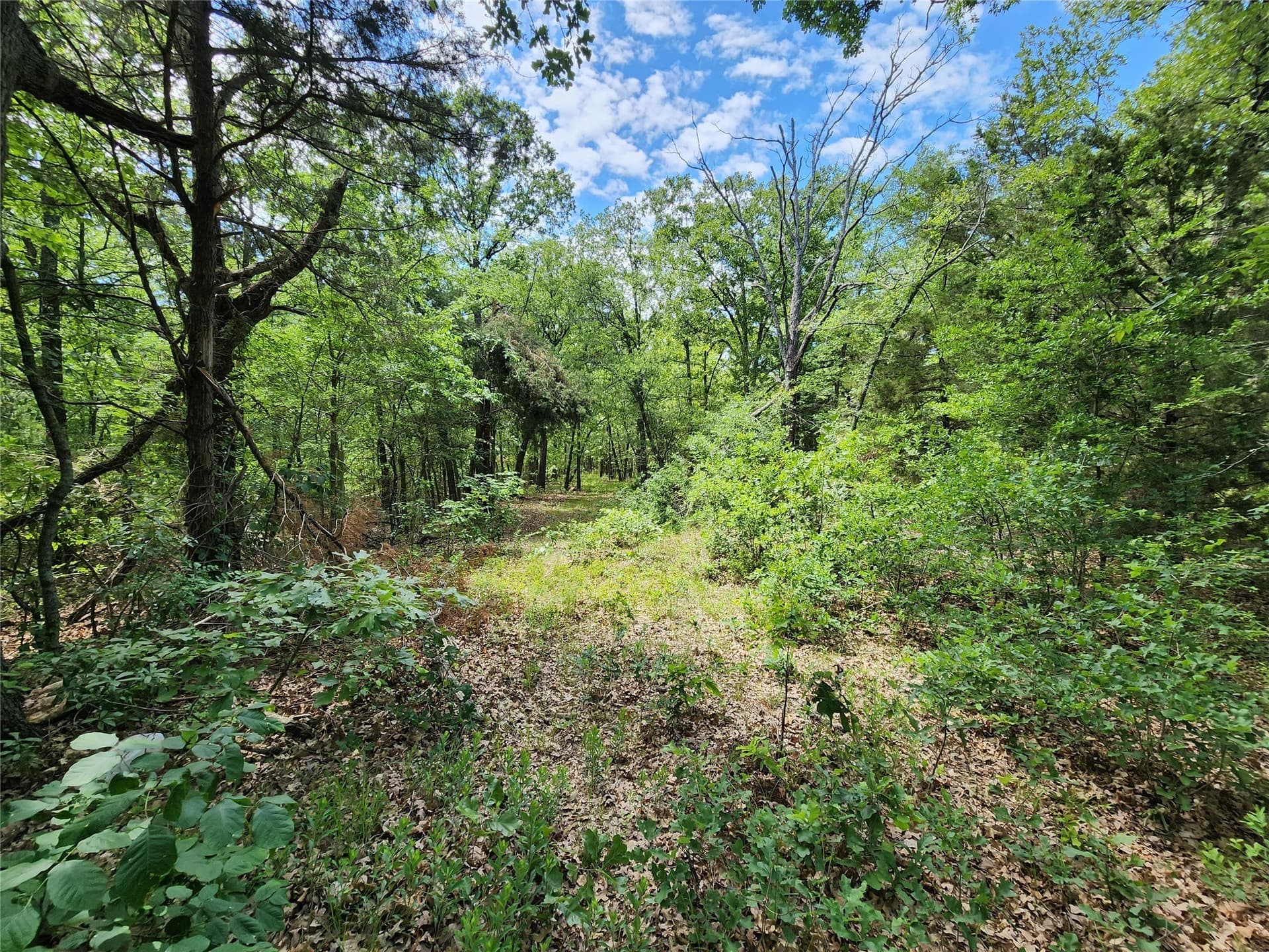 67.74 acres in Hopkins County - photo 14