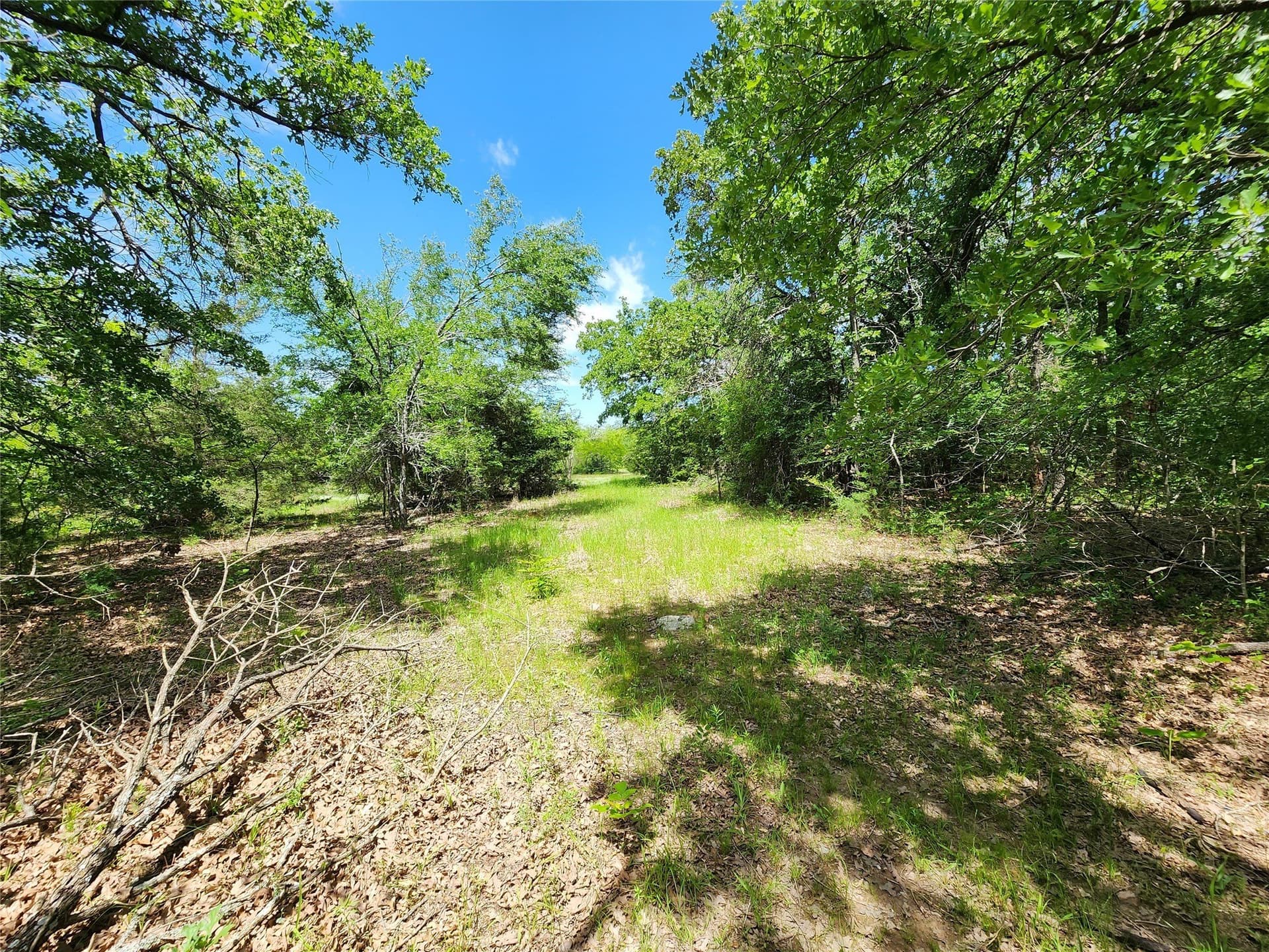 67.74 acres in Hopkins County - photo 13
