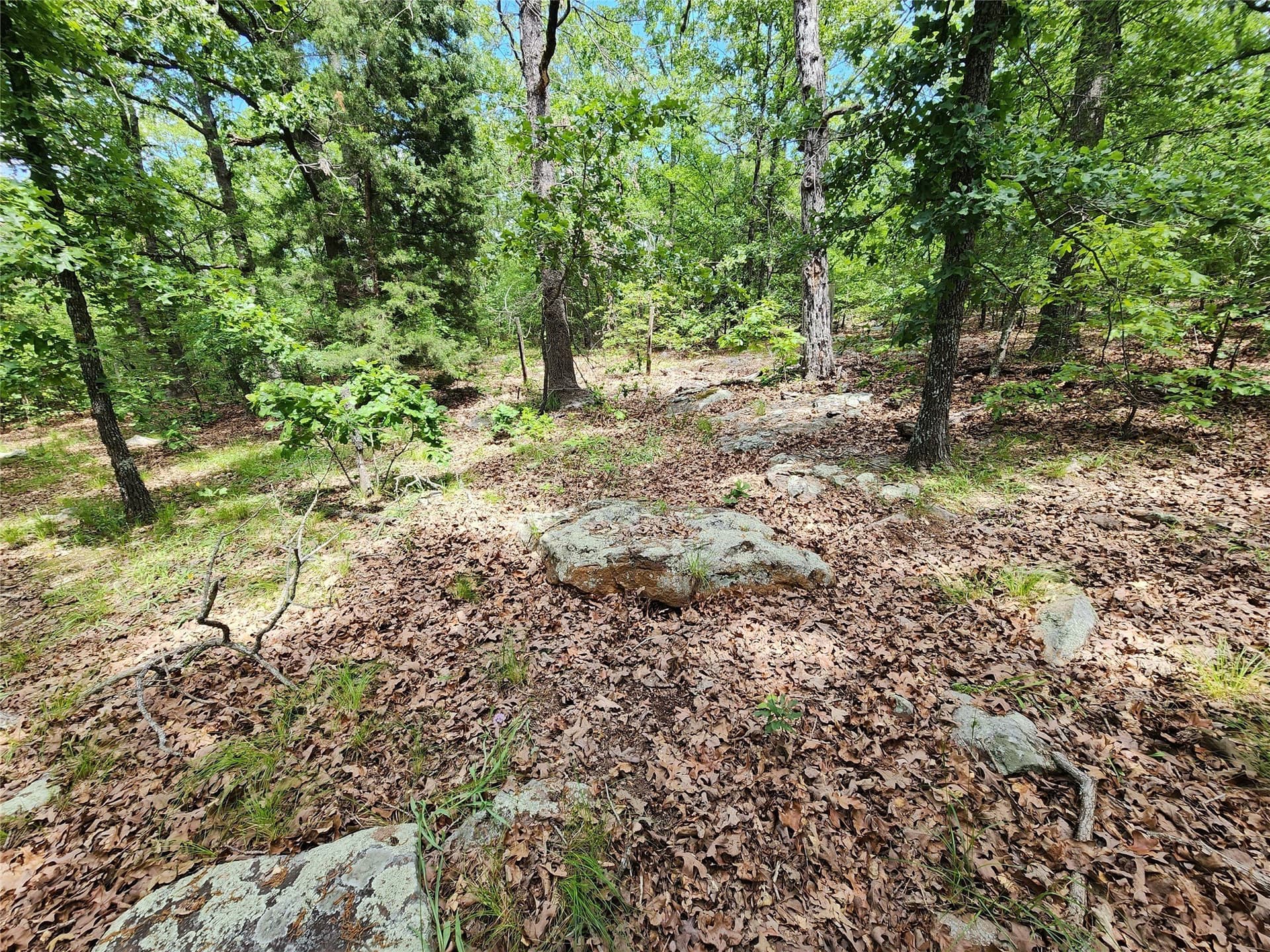 67.74 acres in Hopkins County - photo 17