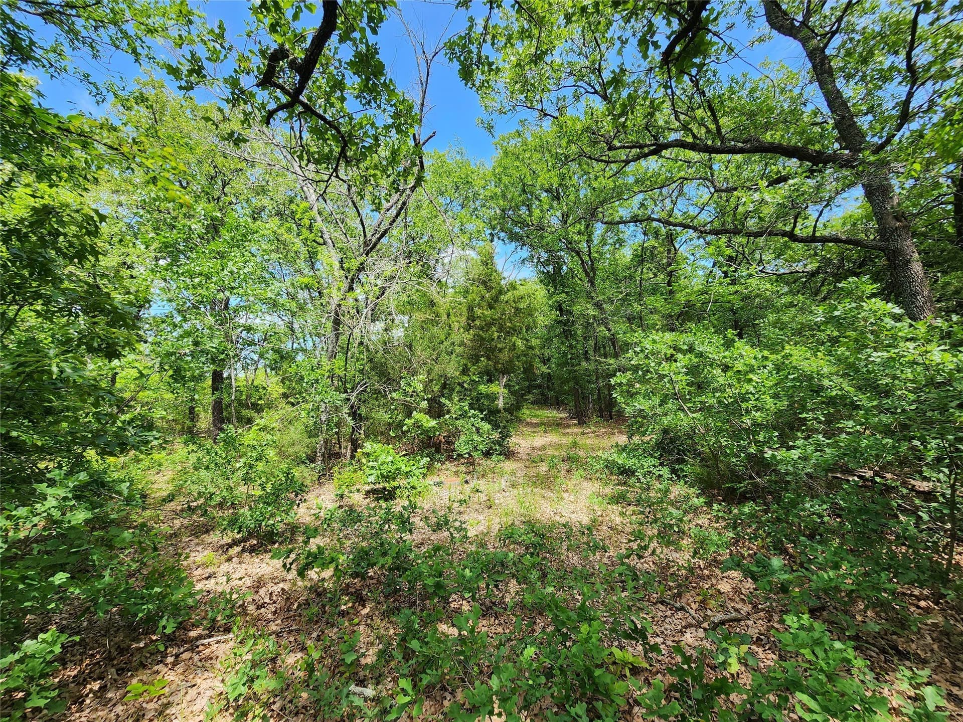 67.74 acres in Hopkins County - photo 15