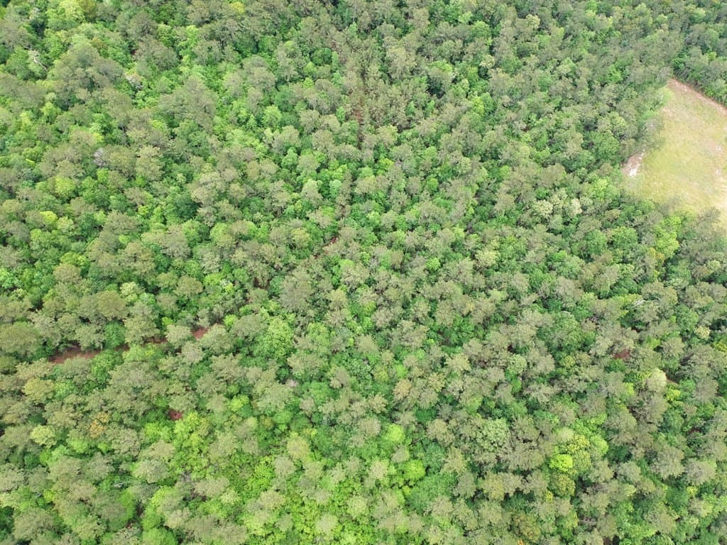 16.7 acres in Texas County - photo 18