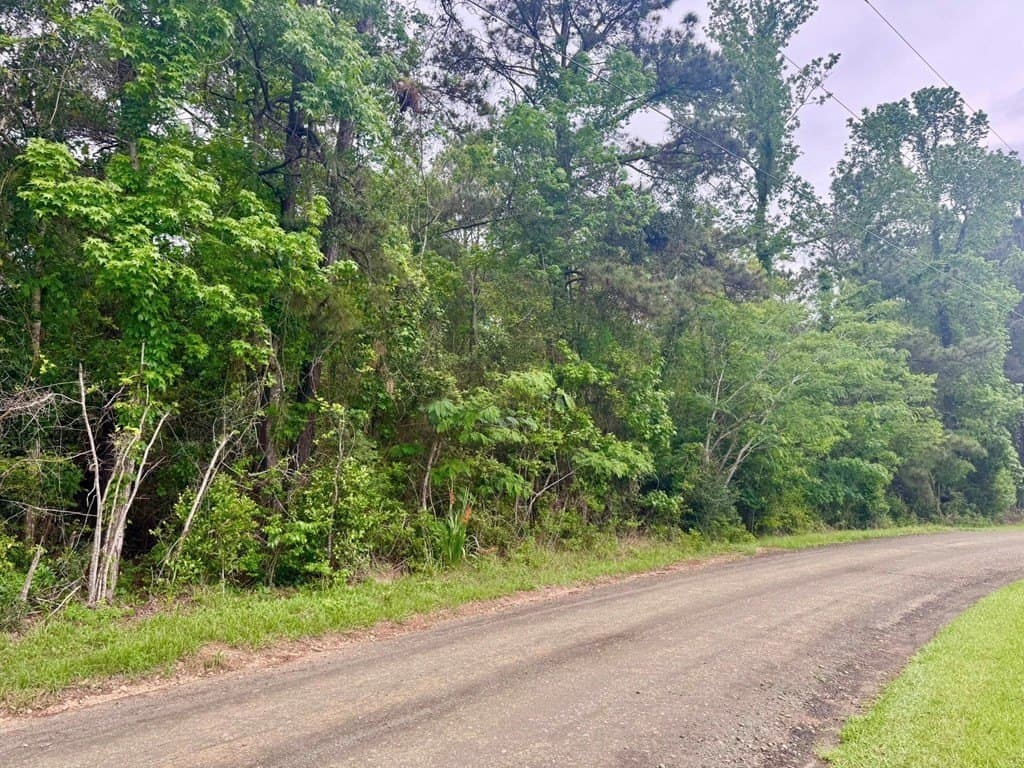 16.7 acres in Texas County - photo 21