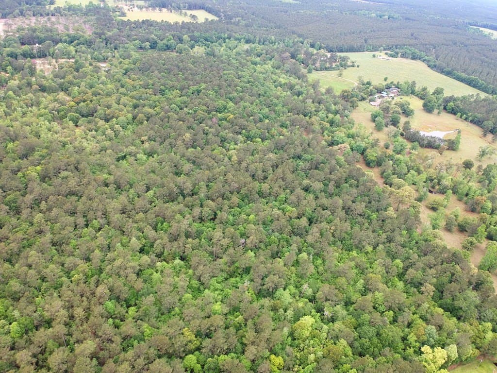 16.7 acres in Texas County - photo 19
