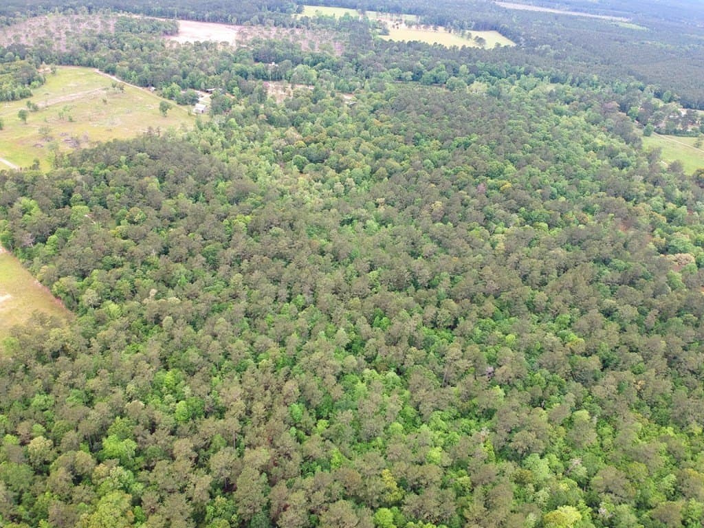 16.7 acres in Texas County - photo 17