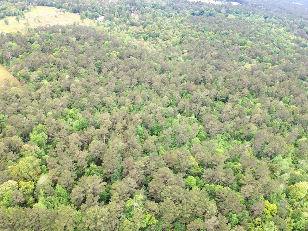 16.7 acres in Texas County - photo 16