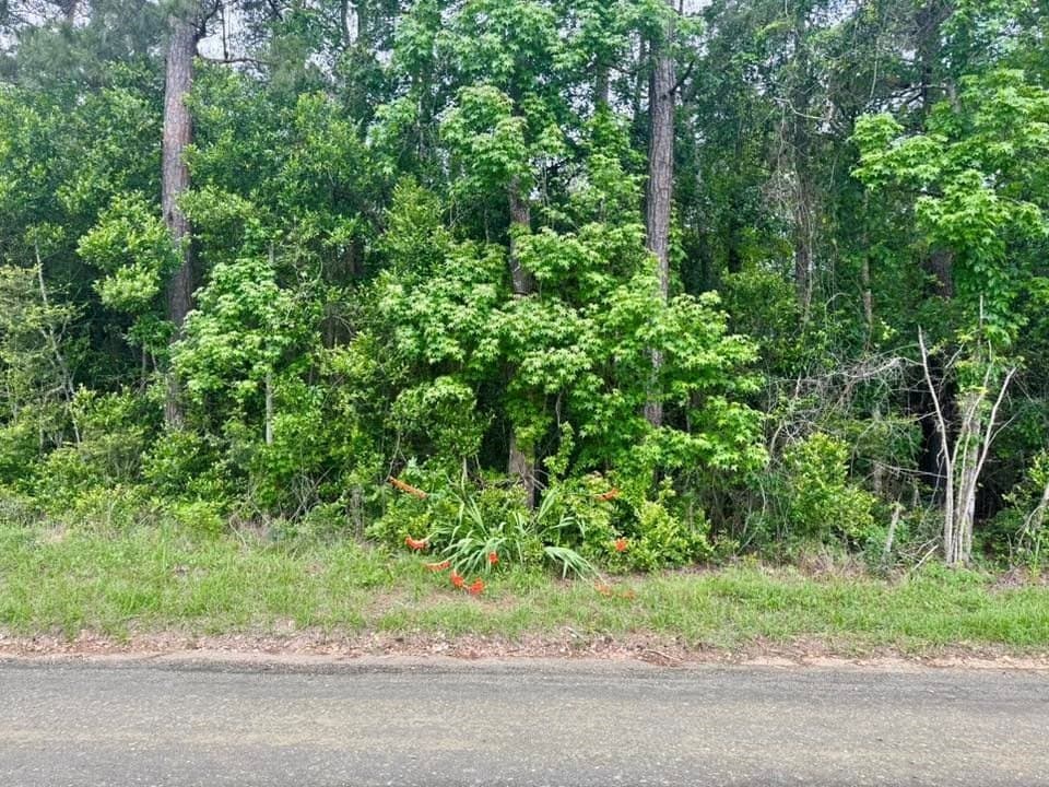 16.7 acres in Texas County - photo 6