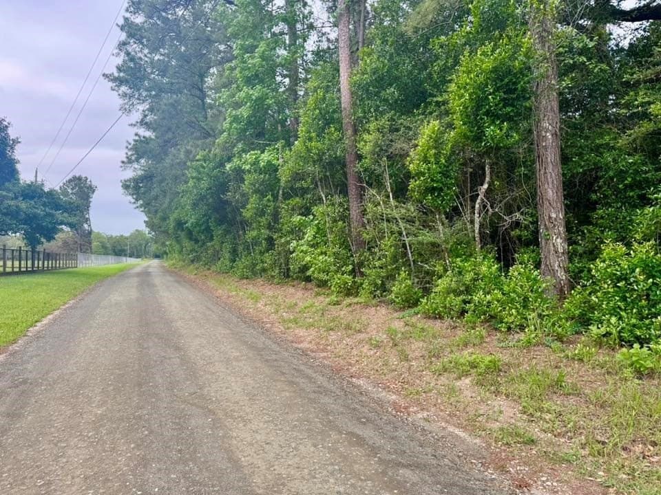 16.7 acres in Texas County - photo 22