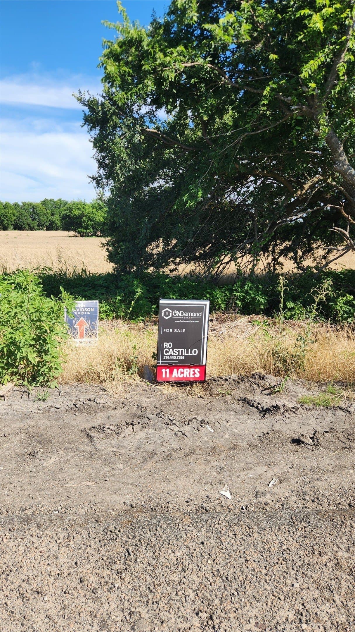 10.9 acres in Collin County - photo 11