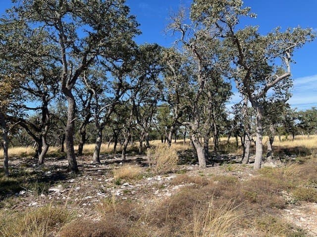 10.03 acres in Gillespie County gallery image 4