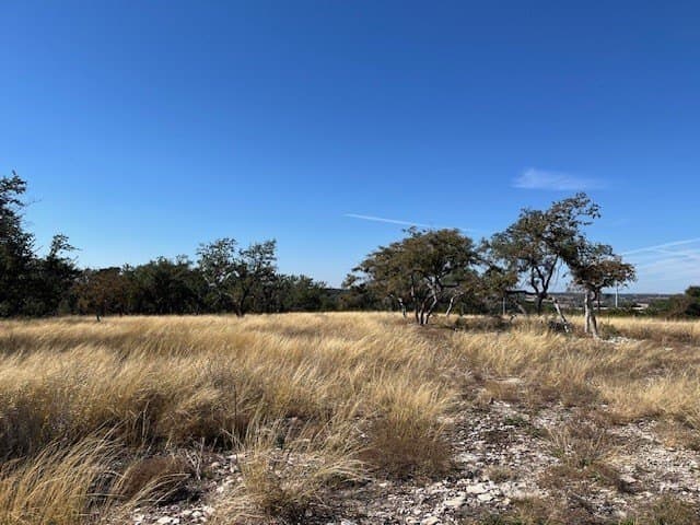 10.03 acres in Gillespie County gallery image 2