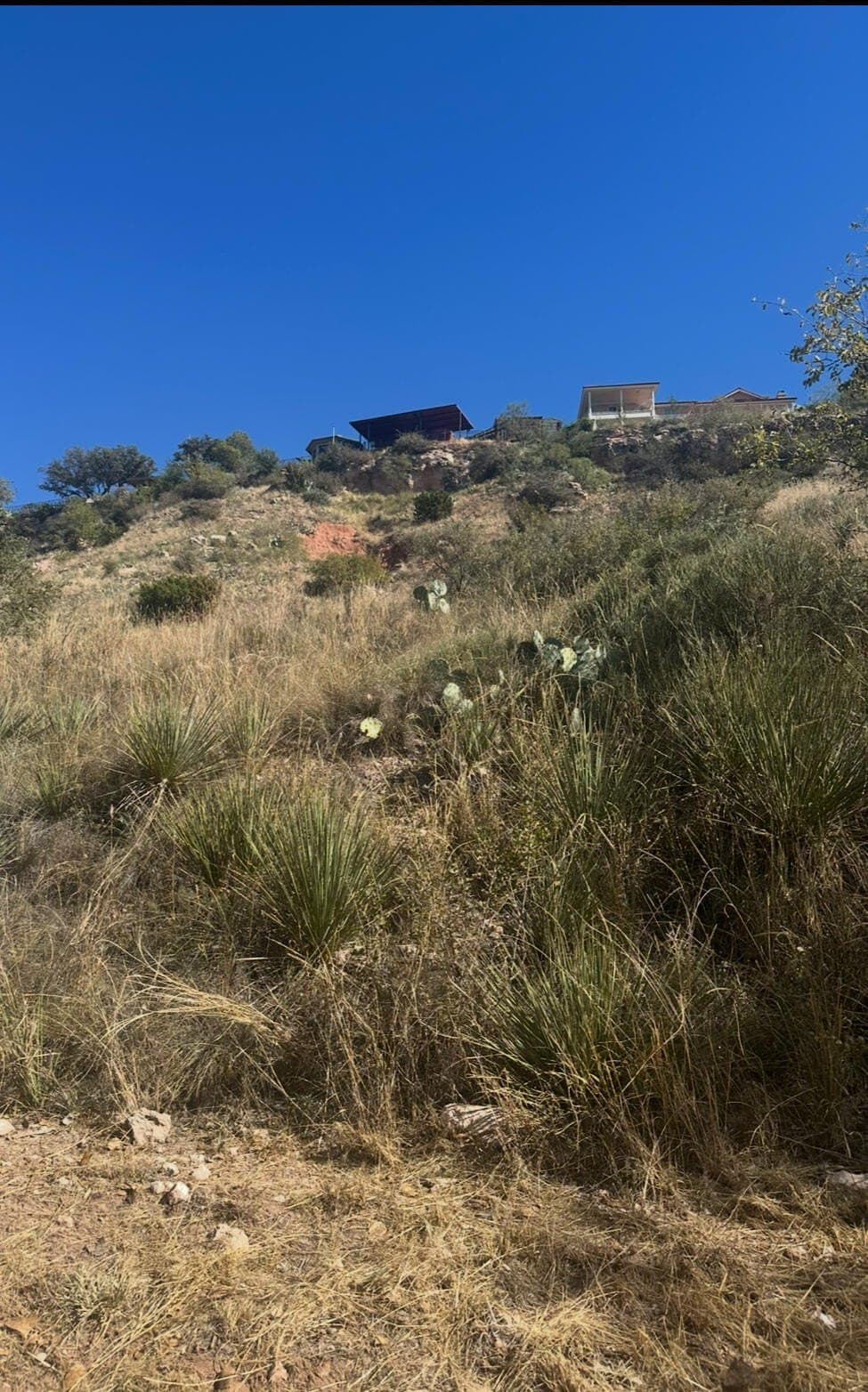 0.81 acres in Lubbock County gallery image 4