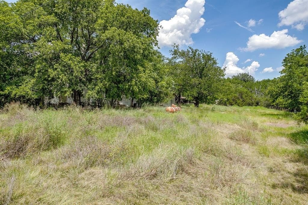 68.5 acres in Coryell County gallery image 4