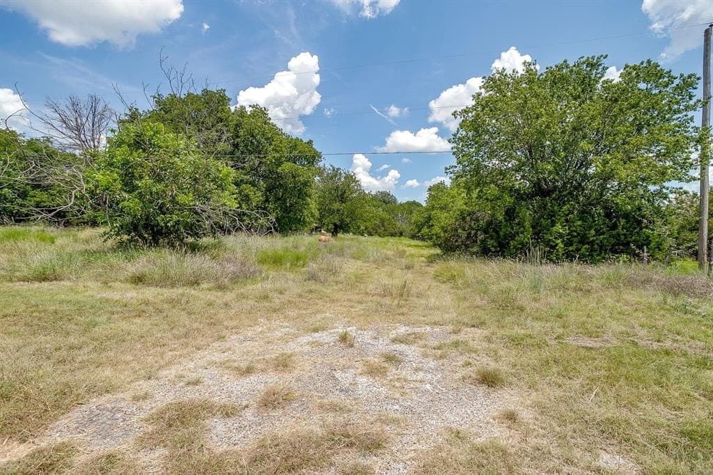 68.5 acres in Coryell County gallery image 3