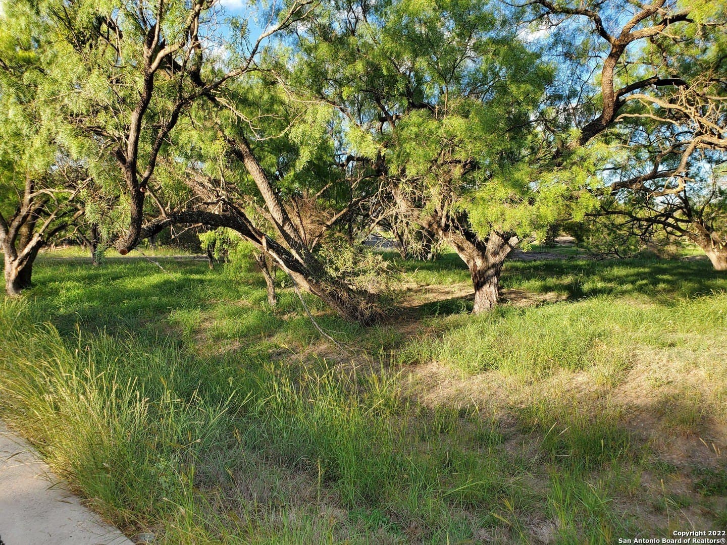 0.26 acres in Llano County gallery image 2