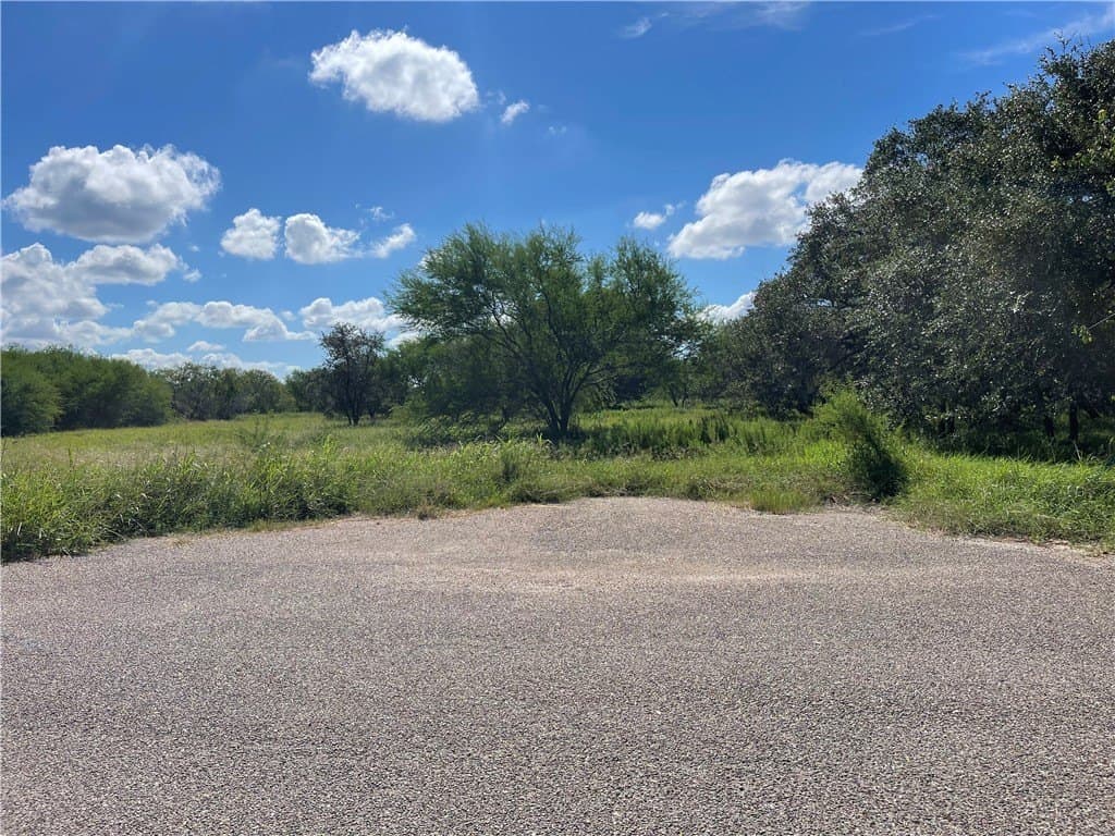 5.04 acres in San Patricio County gallery image 3