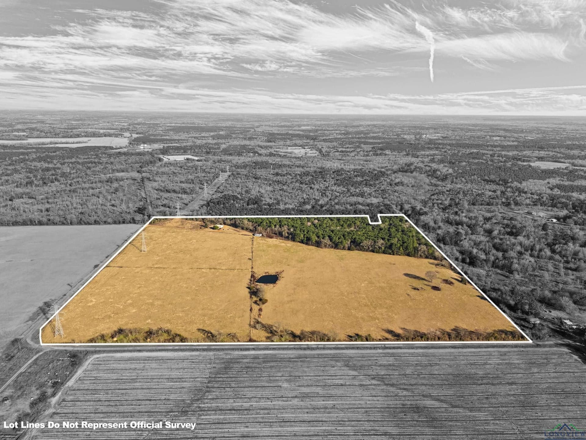 100.75 acres in Morris County gallery image 4