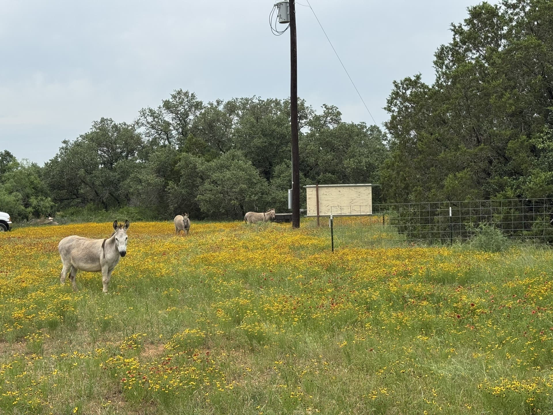 30 acres in Stephens County - photo 18