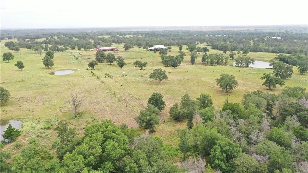 186.79 acres in Milam County - photo 18