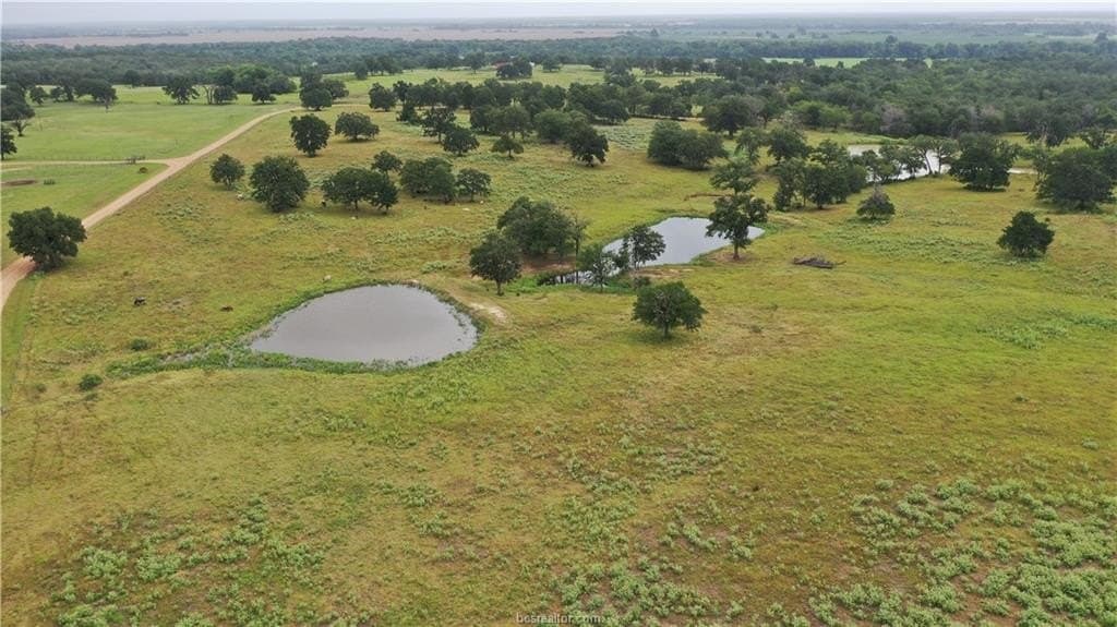 186.79 acres in Milam County - photo 5