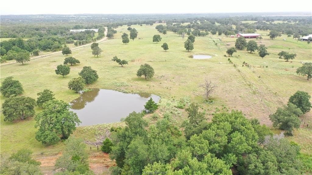 186.79 acres in Milam County - photo 17