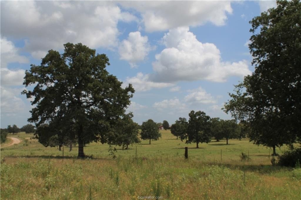 186.79 acres in Milam County - photo 4