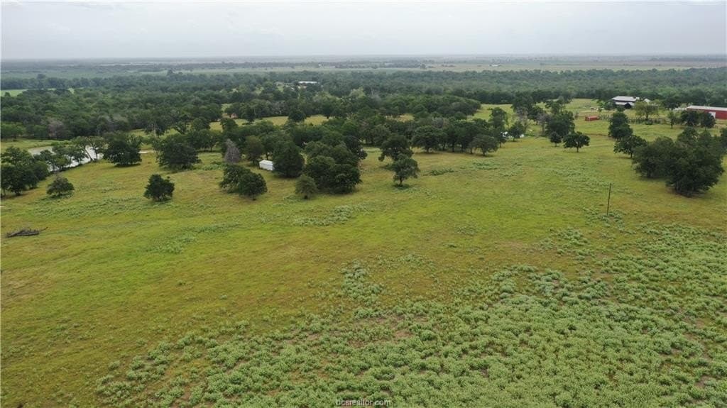 186.79 acres in Milam County - photo 6