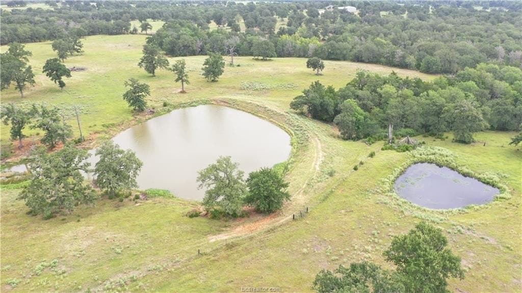 186.79 acres in Milam County - photo 20