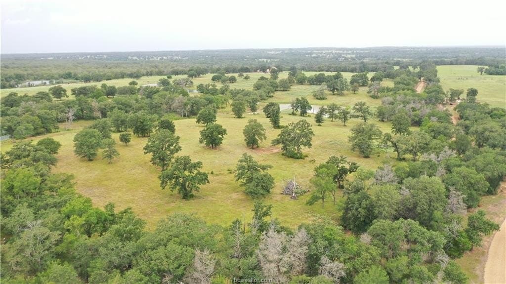 186.79 acres in Milam County - photo 9