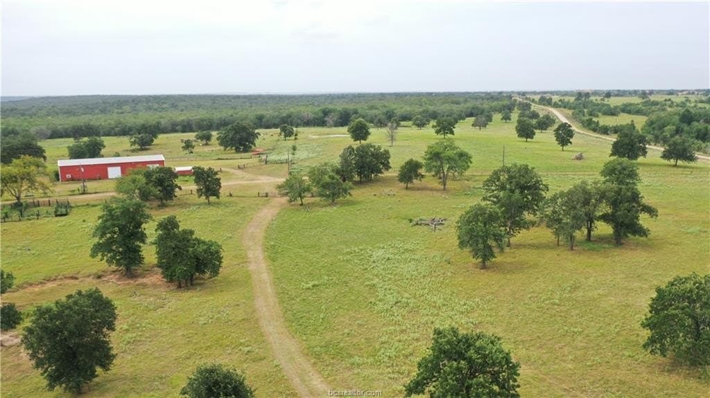 186.79 acres in Milam County - photo 13