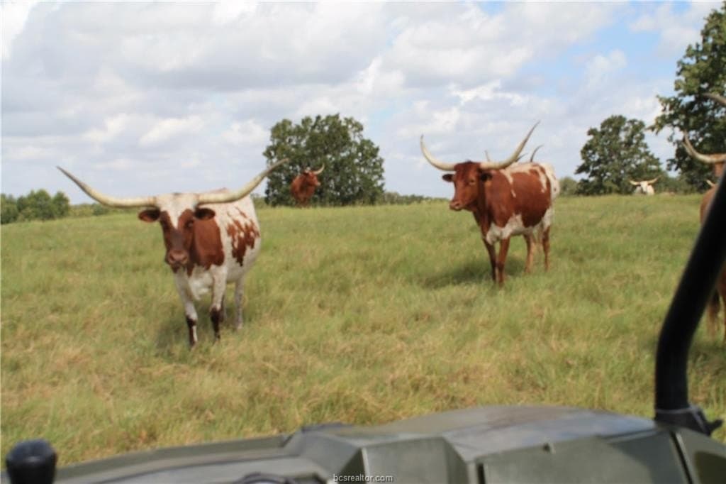 186.79 acres in Milam County - photo 26